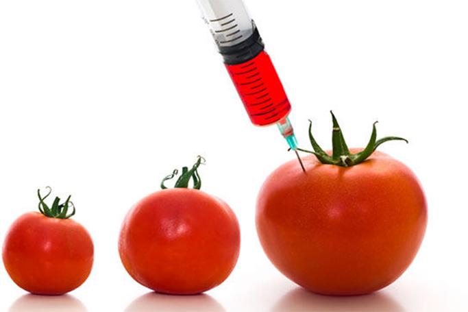 GMO məhsullar qadağan edilir