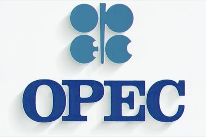 OPEC toplantısından qayıdan nazirdən açıqlama