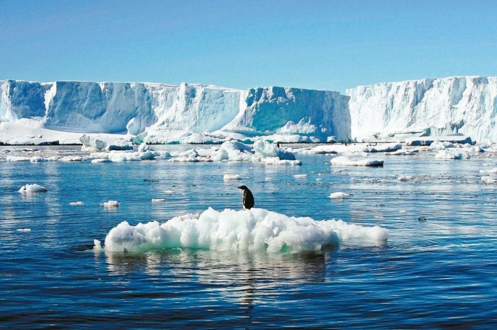 Antarktidada buzlar əriməyə davam edir