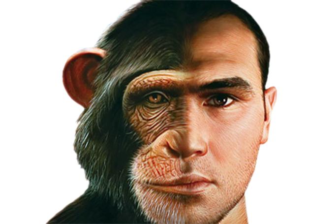 “Homo Sapiens” ...