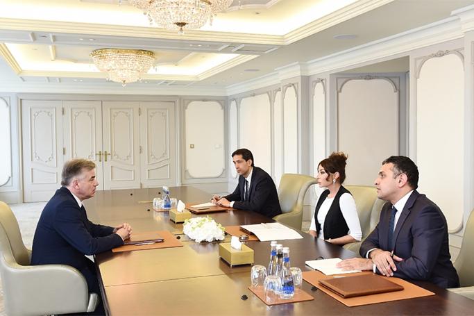 Mehriban Əliyeva fransalı senatoru qəbul etdi