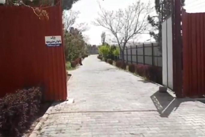 Fars-molla rejimindən cinsi ayrı seçkilik