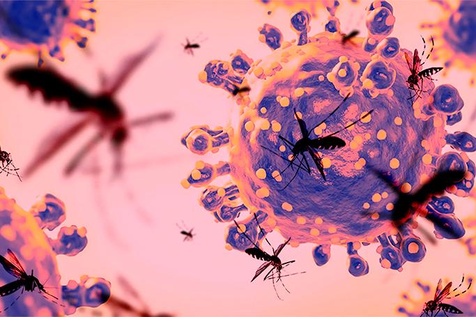 Latın Amerikasında epidemiya