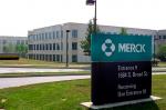 “Merck”dən səs gətirən sərmayə