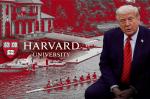 Harvarda daha bir zərbə