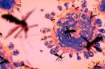 Latın Amerikasında epidemiya