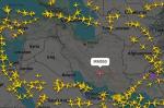 Qurd ürəyi yemiş pilot