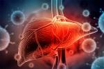 A-dan E-yə qədər “Hepatit” virusları